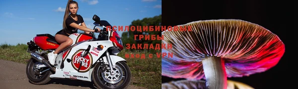 кокс Михайловск