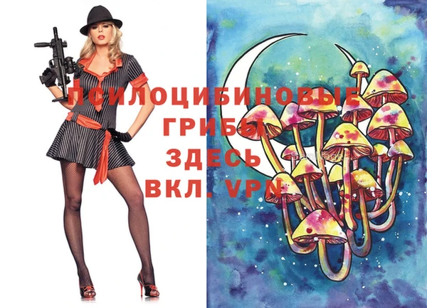дурь Наволоки