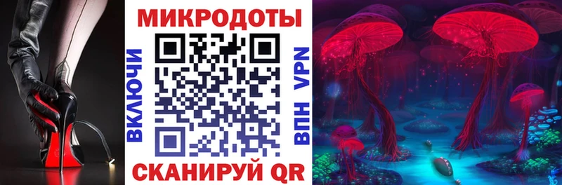 купить   Оленегорск  Псилоцибиновые грибы ЛСД 